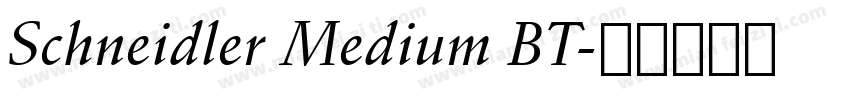 Schneidler Medium BT字体转换